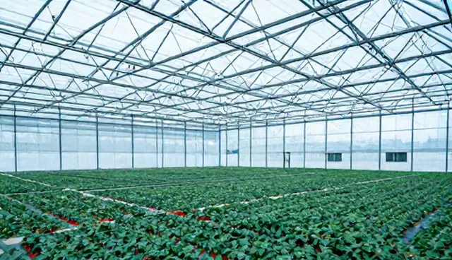 提示词入门:用检查要点提升文章结构